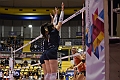 MAS_1618