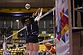 MAS_1619