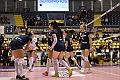 MAS_1630