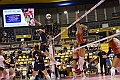 MAS_1637