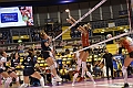 MAS_1638