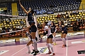 MAS_1696