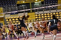 MAS_1767