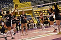 MAS_1772