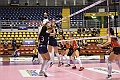 MAS_1800