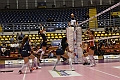MAS_1833