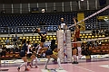 MAS_1834
