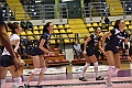 MAS_1838
