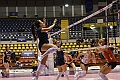 MAS_1848