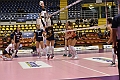 MAS_1851
