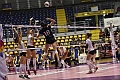 MAS_1894