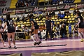 MAS_1897