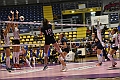 MAS_1910