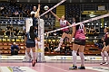MAS_4947