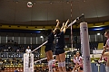 MAS_4951