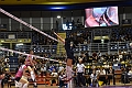 MAS_5097
