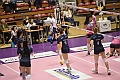 MAS_5194