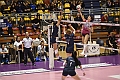 MAS_5345