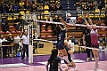 MAS_5371