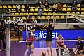 MAS_5397