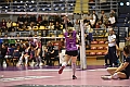 MAS_5678