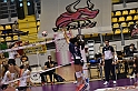 MAS_4478