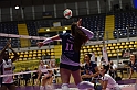 MAS_1785