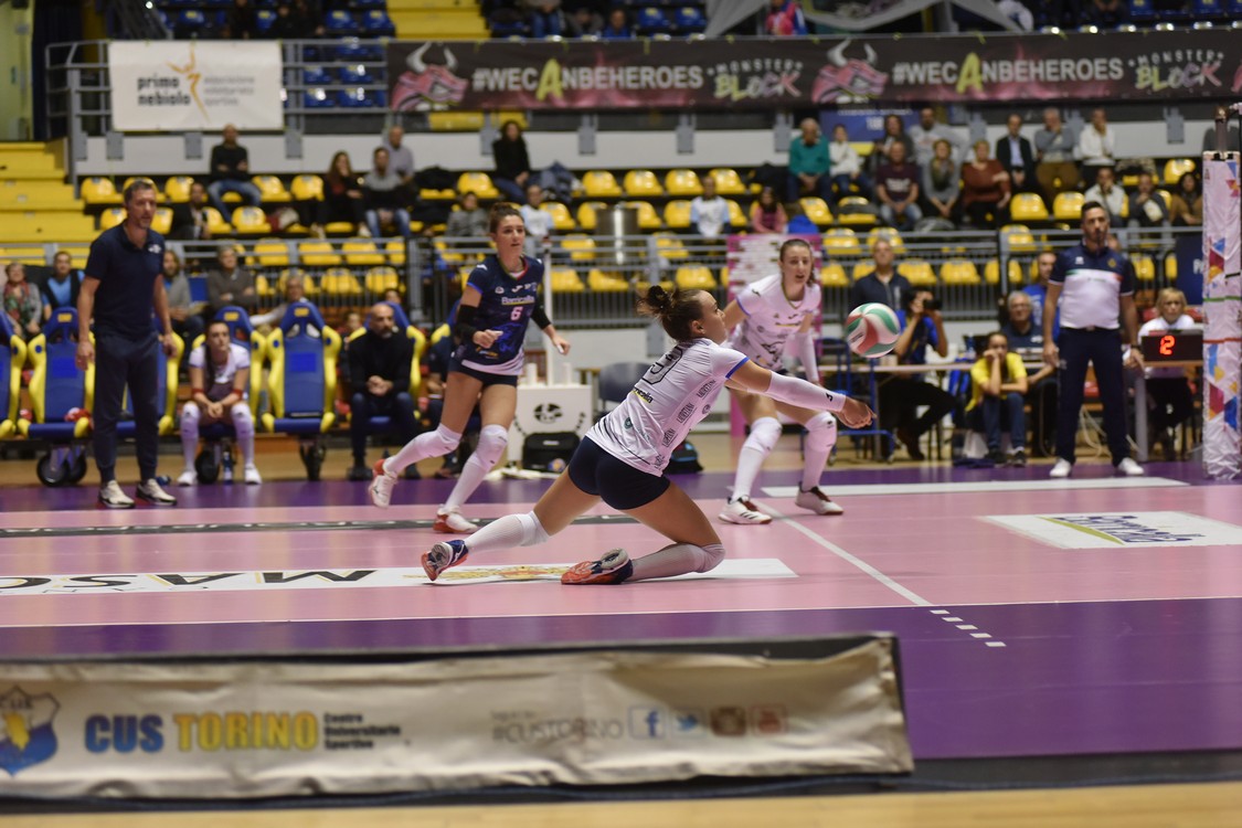 MAS_3284.jpg
