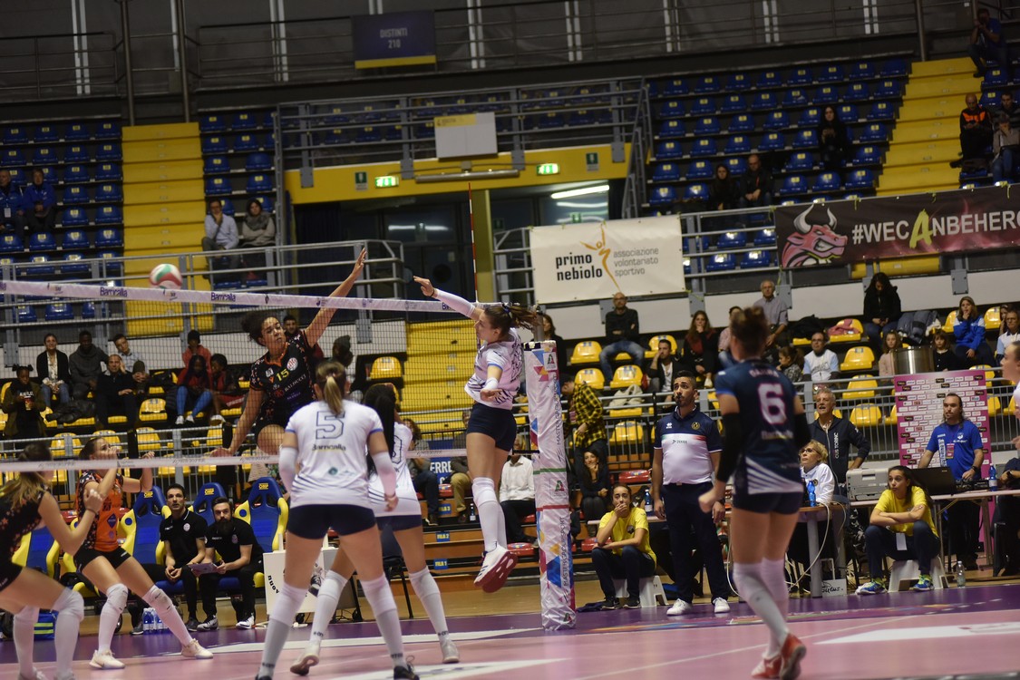 MAS_3454.jpg