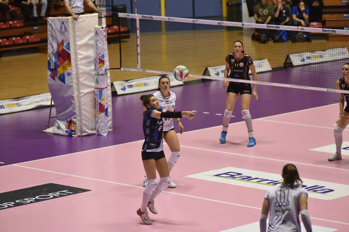 MAS_3627.jpg