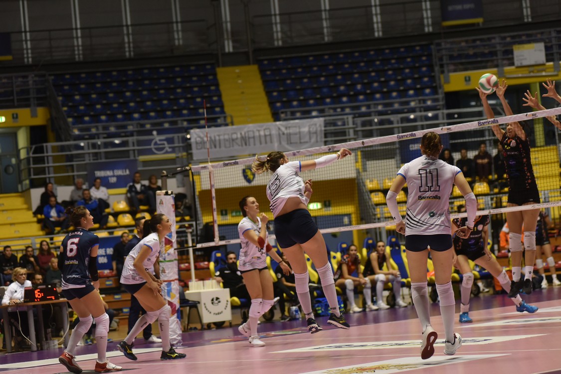 MAS_3739.jpg