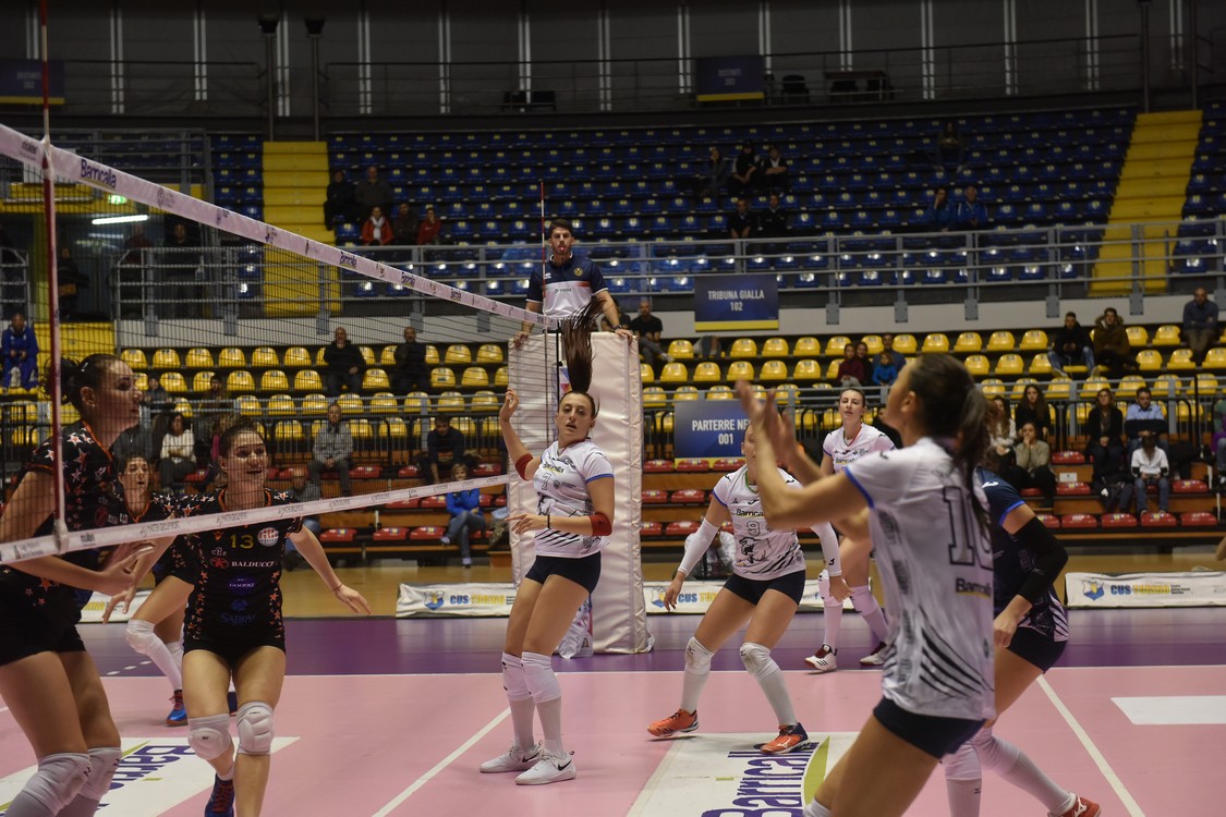 MAS_3830.jpg