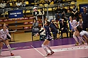 MAS_2954