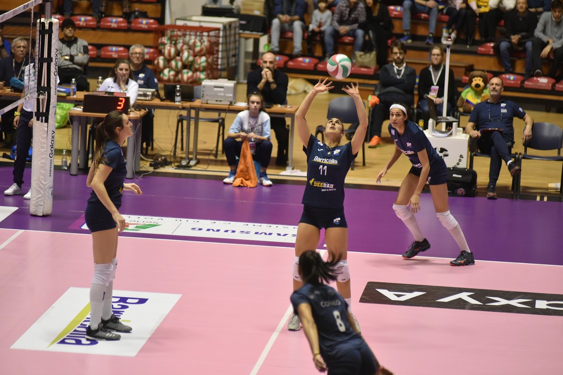 MAS_8209.jpg