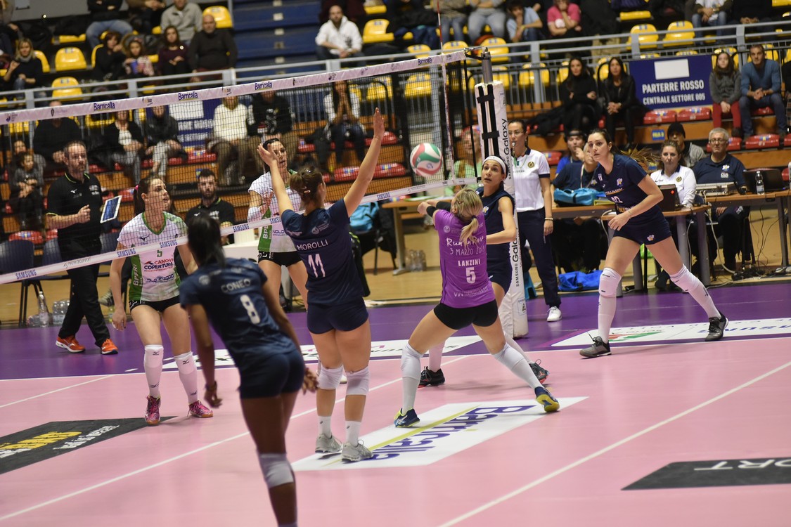 MAS_8259.jpg