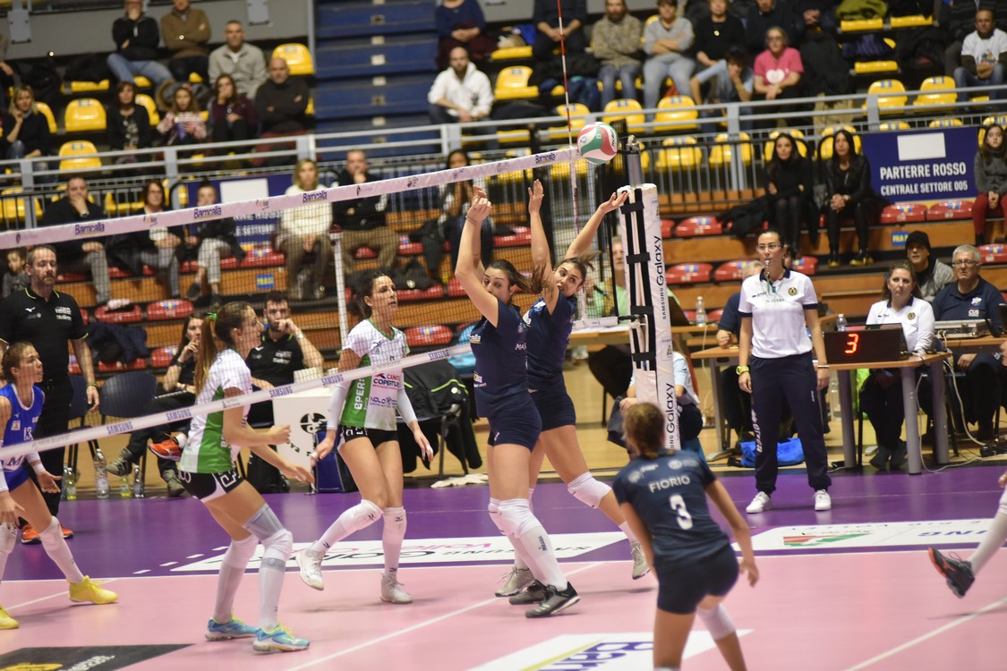 MAS_8322.jpg