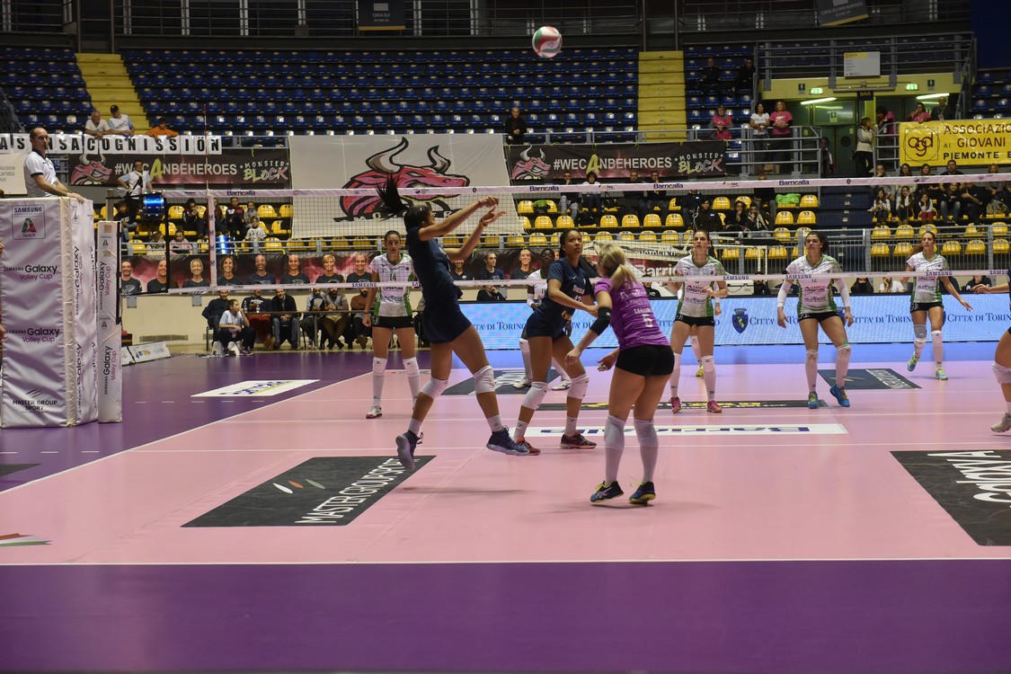 MAS_8429.jpg