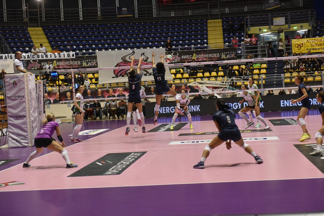 MAS_8439.jpg