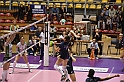 MAS_8184