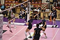 MAS_8186