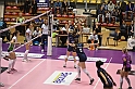 MAS_8199