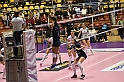 MAS_8246