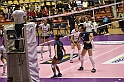 MAS_8248