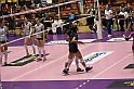 MAS_8253