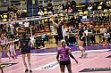 MAS_8273