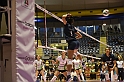 MAS_8341