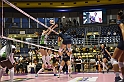 MAS_8345