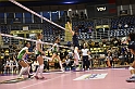 MAS_8362
