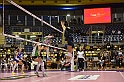 MAS_8419