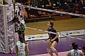 MAS_8655